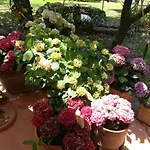 Umbria Country 3*