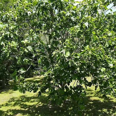 Bed and breakfast Umbria Country 3*