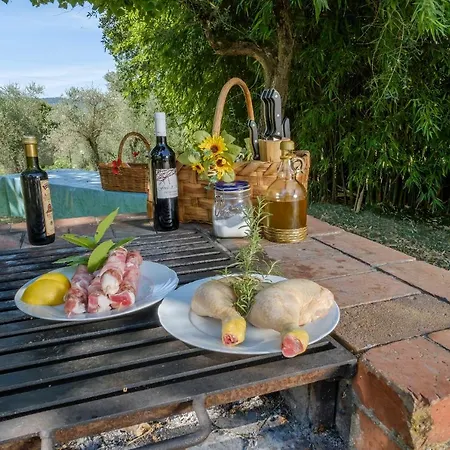 לינה וארוחת בוקר Umbria Country