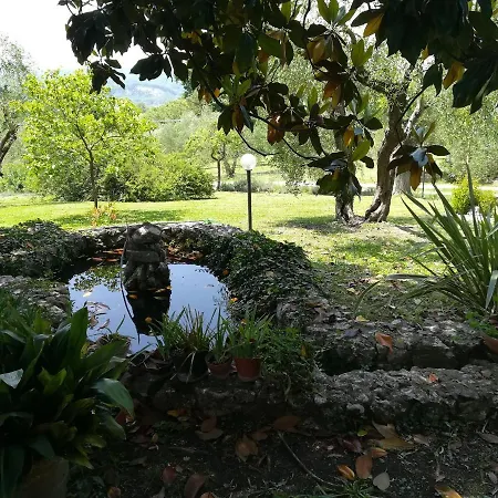 Alojamento de Acomodação e Pequeno-almoço Umbria Country Giove