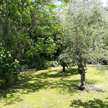 Bed & Breakfast Umbria Country *