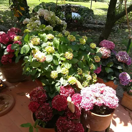 Umbria Country 3*
