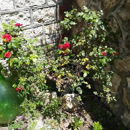 Umbria Country * Giove