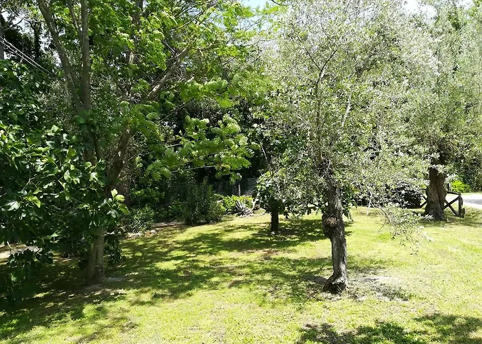 فندق مبيت وإفطار Umbria Country 3*